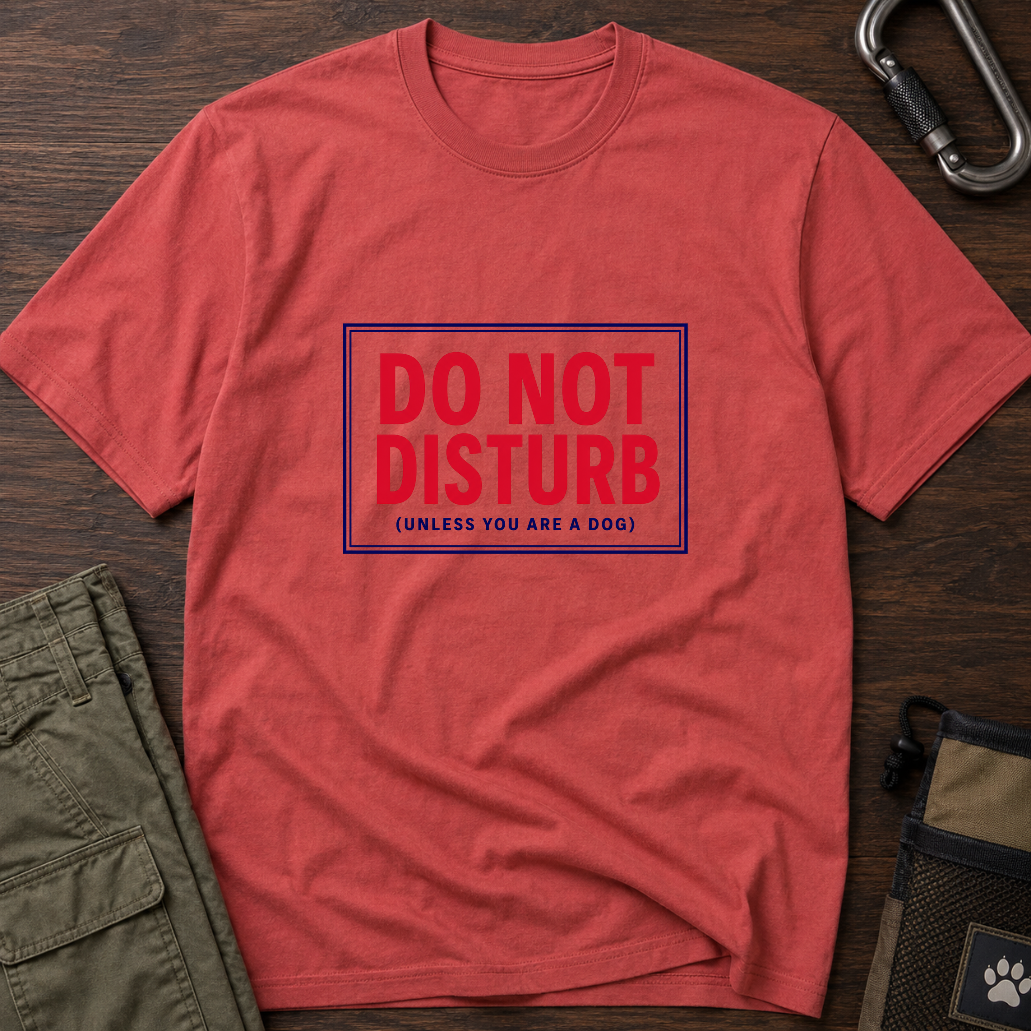 Do Not Disturb(Unless You Are A Dog)