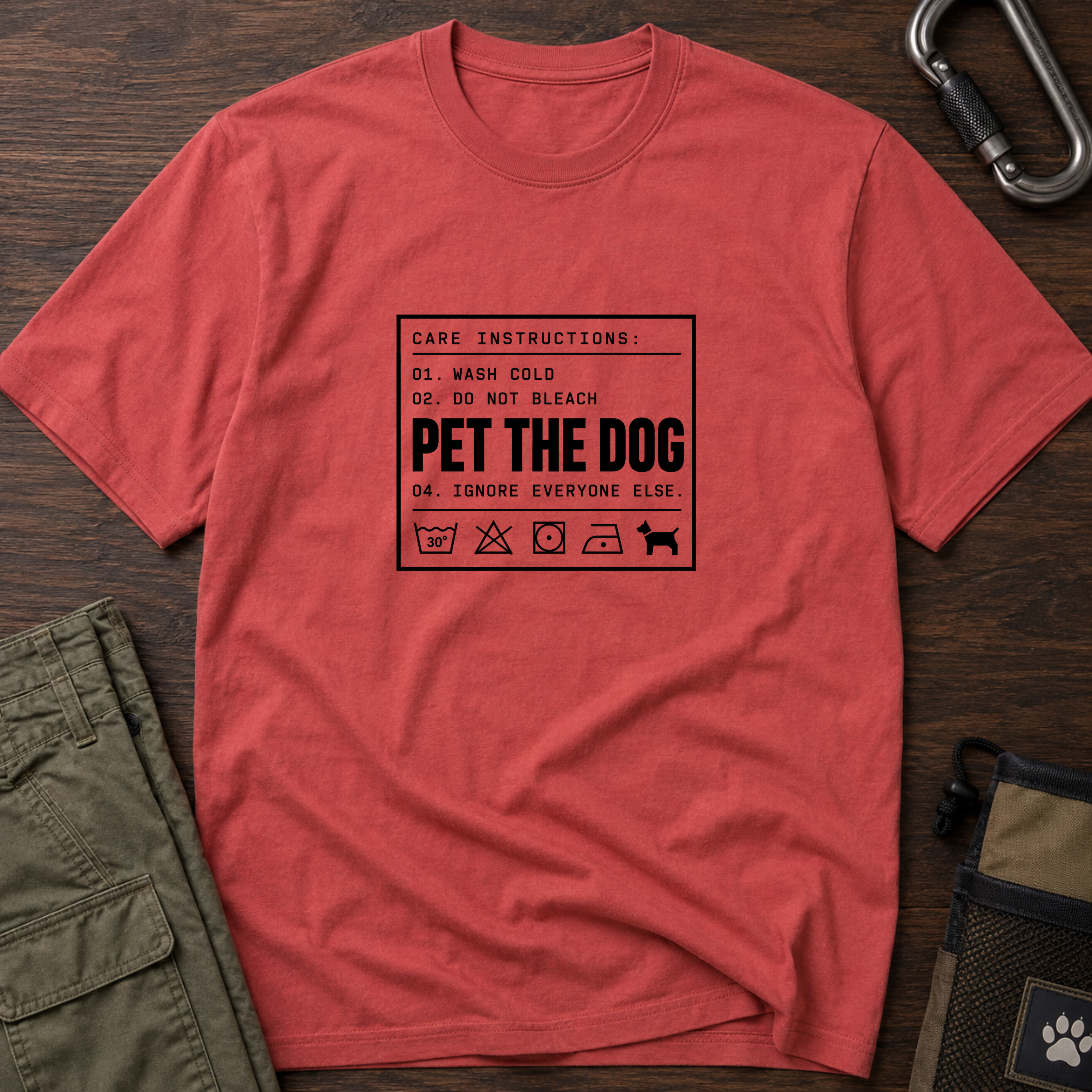 Dog - Care Instructions